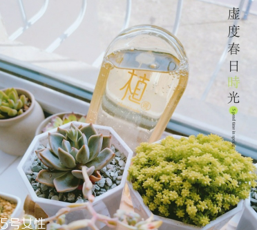 植觀洗發(fā)水是不是三無 炸毛小仙女的福音 植觀洗發(fā)水是不是三無 炸毛小仙女的福音