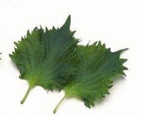 紫蘇葉的熱量 紫蘇葉的熱量高嗎？