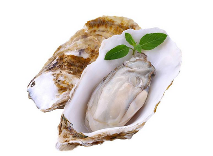 生蠔放冷藏可以放多久？生蠔放冷藏的保存時(shí)間