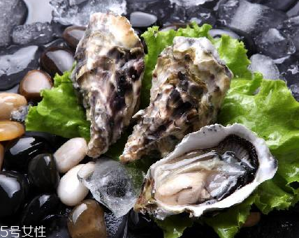 生蠔每天吃幾個(gè)最好？生蠔每日最佳食用量