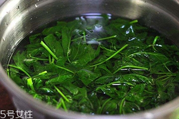 刺五加能生吃嗎？刺五加不能生吃