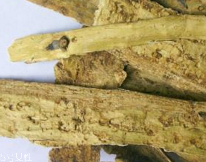 刺五加和五味子的功效一樣嗎？