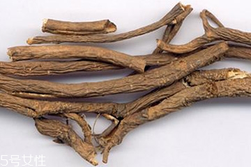 刺五加的選購(gòu)技法 怎么挑選刺五加？