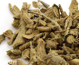 刺五加的選購(gòu)技法 怎么挑選刺五加？