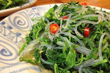 刺五加的適宜人群 刺五加適合哪些人？