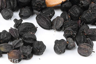 刺五加的適宜人群 刺五加適合哪些人？