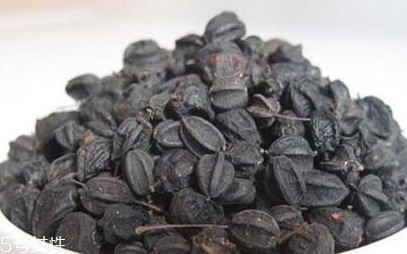 刺五加對肝病有好處嗎？