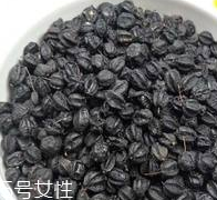 刺五加怎么吃？刺五加有什么用？