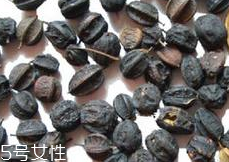 刺五加怎么吃？刺五加有什么用？