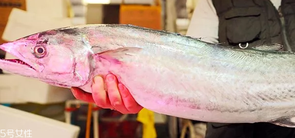 鲅魚怎么做好吃 鲅魚的多種常見(jiàn)做法