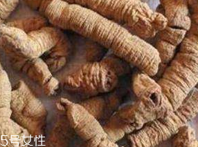 巴戟天怎么保存 密封保存 巴戟天怎么保存 密封保存