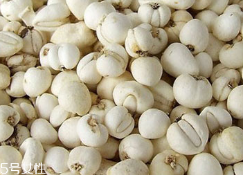 川貝母怎么煎 碾成粉狀 川貝母怎么煎 碾成粉狀