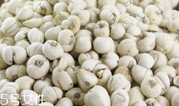 川貝母怎么煎 碾成粉狀 川貝母怎么煎 碾成粉狀