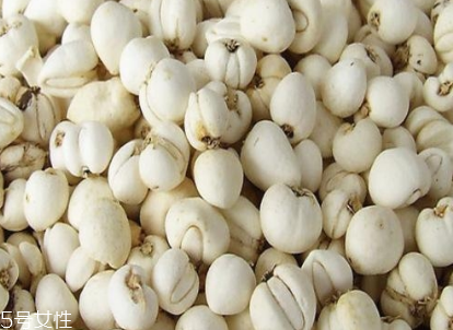 川貝母的價(jià)格 川貝母的價(jià)格2018 川貝母的價(jià)格 川貝母的價(jià)格2018