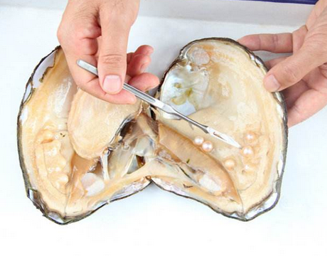 珍珠粉為什么會搓泥 搓泥的原因 珍珠粉為什么會搓泥 搓泥的原因