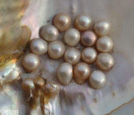 珍珠粉為什么會搓泥 搓泥的原因 珍珠粉為什么會搓泥 搓泥的原因