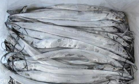 帶魚(yú)會(huì)胖嗎 屬于脂肪高的魚(yú)類(lèi)