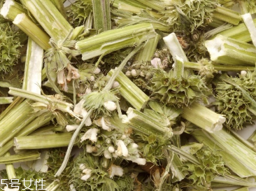 益母草是中藥嗎 益母草是中藥 益母草是中藥嗎 益母草是中藥