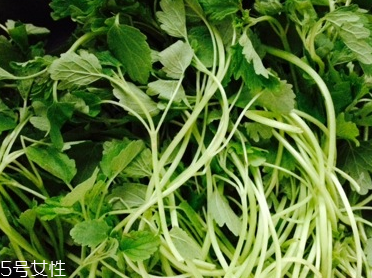 益母草是中藥嗎 益母草是中藥 益母草是中藥嗎 益母草是中藥