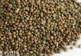 紫蘇子有毒嗎 使用過量會產(chǎn)生輕微毒素 紫蘇子有毒嗎 使用過量會產(chǎn)生輕微毒素