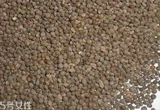 紫蘇子有毒嗎 使用過量會產(chǎn)生輕微毒素 紫蘇子有毒嗎 使用過量會產(chǎn)生輕微毒素