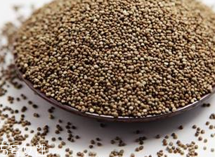 紫蘇子泡茶可以喝嗎 紫蘇子泡茶可以喝嗎