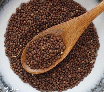 紫蘇子是中藥嗎 腸燥便秘 紫蘇子是中藥嗎 腸燥便秘