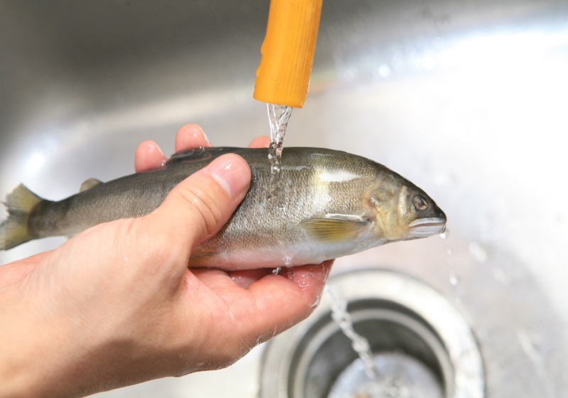 香魚是什么魚 5種香魚的做法 香魚是什么魚 5種香魚的做法