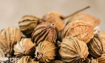 草果能泡水喝嗎 草果泡水好 草果能泡水喝嗎 草果泡水好