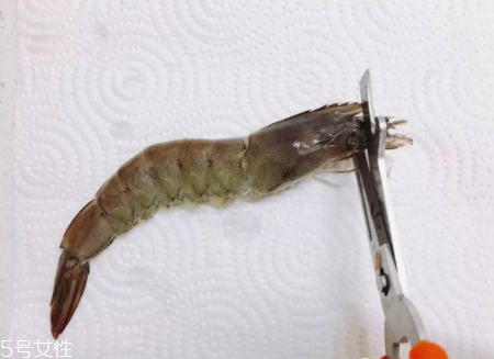 基圍蝦怎么炒 這樣炒最美味 基圍蝦怎么炒 這樣炒最美味