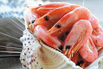 北極蝦的食用禁忌 不能食用過(guò)量