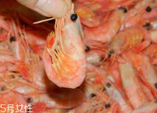 北極蝦是什么味道的 甜甜的北極蝦 北極蝦是什么味道的 甜甜的北極蝦