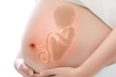 茶油能給孕婦吃嗎 特別適合孕婦吃 茶油能給孕婦吃嗎 特別適合孕婦吃