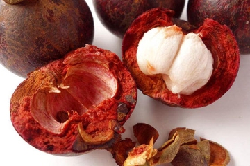 山竹皮能祛痘嗎 山竹皮的美容功效 山竹皮能祛痘嗎 山竹皮的美容功效