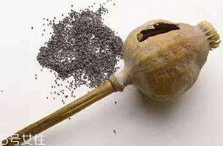 罌粟籽的食用方法很廣泛 罌粟籽的食用方法很廣泛