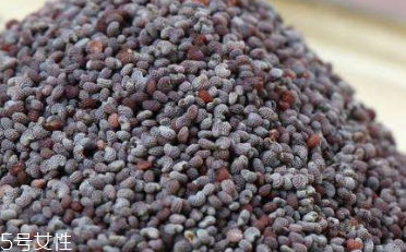 罌粟籽面包怎么做才更好吃 罌粟籽面包怎么做才更好吃