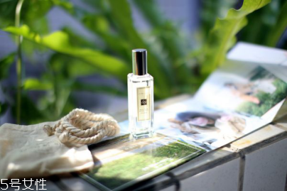 水生調(diào)香水哪個牌子好 打造清爽干凈氣質(zhì)