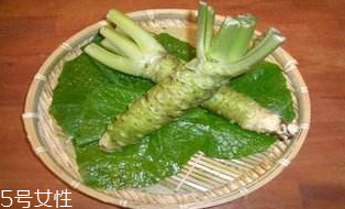 山葵的種植技術(shù) 四大要點(diǎn) 山葵的種植技術(shù) 四大要點(diǎn)