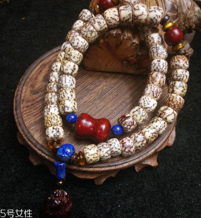 血絲菩提和星月菩提哪個好 科普菩提小知識 血絲菩提和星月菩提哪個好 科普菩提小知識