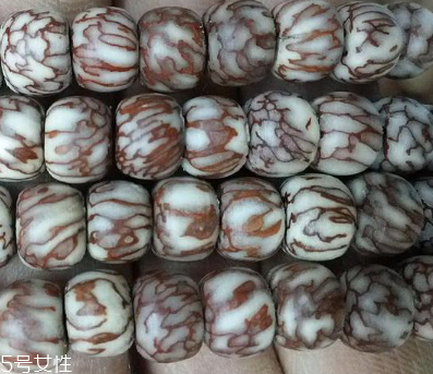 血絲菩提和星月菩提哪個好 科普菩提小知識 血絲菩提和星月菩提哪個好 科普菩提小知識