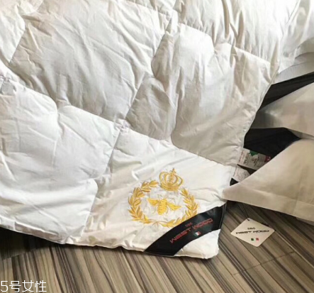 羽絨被多少錢(qián)一床 千萬(wàn)別買(mǎi)貴了
