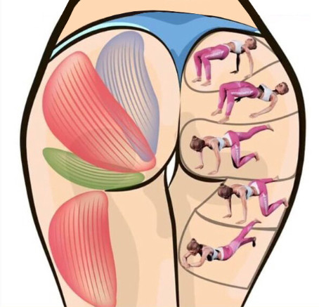 蜜桃臀怎么練的動作圖解 蜜桃臀怎么練的動作圖解