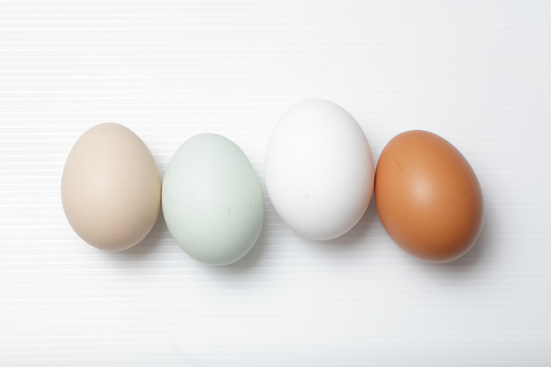 土雞蛋和飼料雞蛋營(yíng)養(yǎng)價(jià)值一樣嗎 如何挑選優(yōu)質(zhì)雞蛋