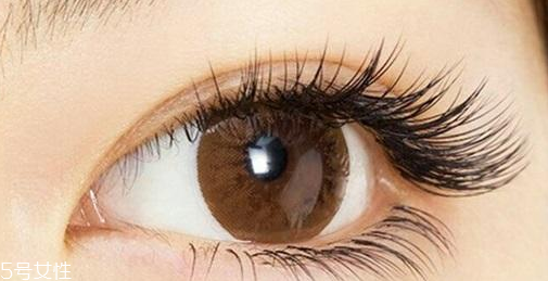 嫁接睫毛容易掉什么原因 4個原因讓睫毛不牢固 嫁接睫毛容易掉什么原因 4個原因讓睫毛不牢固