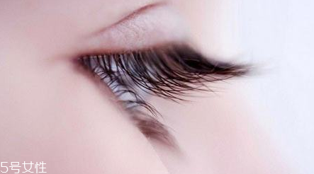 嫁接睫毛什么價(jià)位最合理 中型店鋪性價(jià)比最高 嫁接睫毛什么價(jià)位最合理 中型店鋪性價(jià)比最高