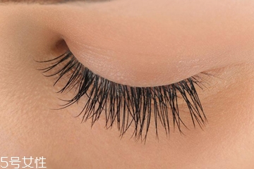 嫁接睫毛什么價(jià)位最合理 中型店鋪性價(jià)比最高 嫁接睫毛什么價(jià)位最合理 中型店鋪性價(jià)比最高