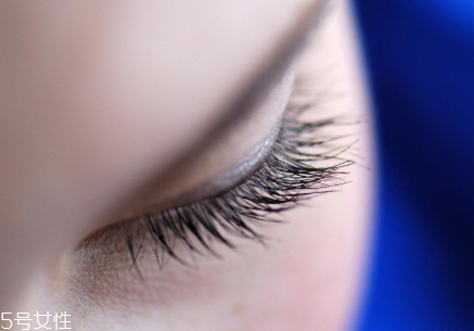 嫁接睫毛什么價(jià)位最合理 中型店鋪性價(jià)比最高 嫁接睫毛什么價(jià)位最合理 中型店鋪性價(jià)比最高