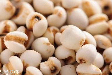 薏仁能祛濕嗎 怎么吃效果最好 薏仁能祛濕嗎 怎么吃效果最好