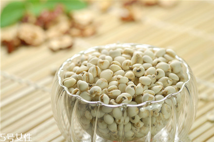 薏仁能祛濕嗎 怎么吃效果最好 薏仁能祛濕嗎 怎么吃效果最好