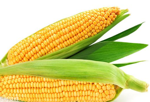 玉米油是怎么榨的 原來是這樣 玉米油是怎么榨的 原來是這樣